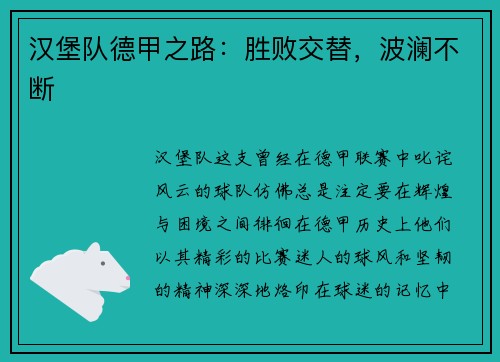 汉堡队德甲之路：胜败交替，波澜不断